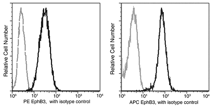 EphB3 / HEK2 Antibody (APC), Rabbit MAb, Flow Cytometry