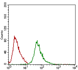 Flow cytometric analysis of Hela cells using Ring1 mouse mAb (green) and negative control (red).
