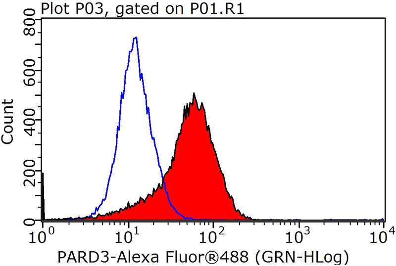 1X10^6 MCF-7 cells were stained with 0.2ug PARD3 antibody (Catalog No:113582, red) and control antibody (blue). Fixed with 90% MeOH blocked with 3% BSA (30 min). Alexa Fluor 488-congugated AffiniPure Goat Anti-Rabbit IgG(H+L) with dilution 1:1000.