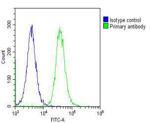 Overlay histogram showing Hela cells stained with 169114 (green line).  The cells were fixed with 2% paraformaldehyde (10 min) and then permeabilized with 90% methanol for 10 min.  The cells were then icubated in 2% bovine serum albumin to block non-spec