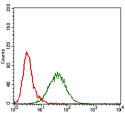 Flow cytometric analysis of Hela cells using GAB2 mouse mAb (green) and negative control (red).