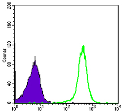 Flow cytometric analysis of COS7 cells using CBX1 mouse mAb (green) and negative control (purple).