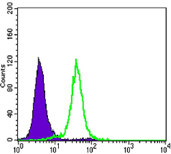Flow cytometric analysis of Hela cells using CCNB1 mouse mAb (green) and negative control (purple).
