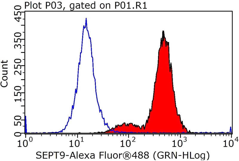 1X10^6 HepG2 cells were stained with 0.2ug SEPT9 antibody (Catalog No:115123, red) and control antibody (blue). Fixed with 90% MeOH blocked with 3% BSA (30 min). Alexa Fluor 488-congugated AffiniPure Goat Anti-Rabbit IgG(H+L) with dilution 1:1000.